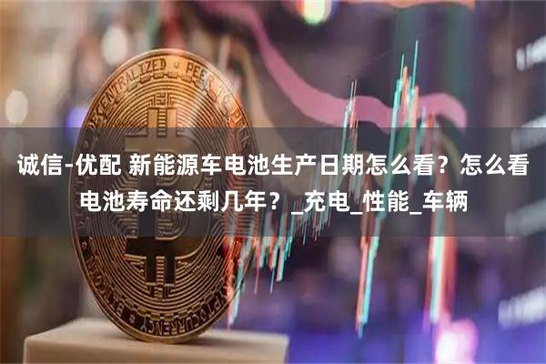 诚信-优配 新能源车电池生产日期怎么看？怎么看电池寿命还剩几年？_充电_性能_车辆